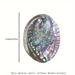 Natural Abalone Shell with Wooden Stand for Smudging and Cleansing