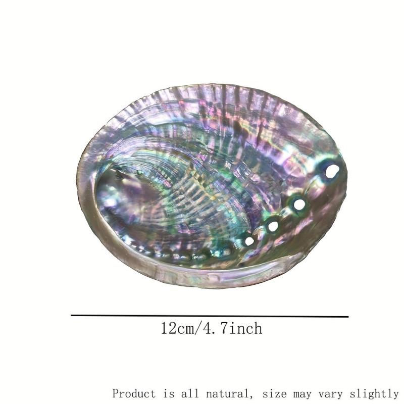 Natural Abalone Shell with Wooden Stand for Smudging and Cleansing
