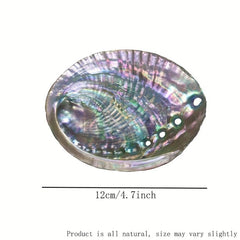 Natural Abalone Shell with Wooden Stand for Smudging and Cleansing