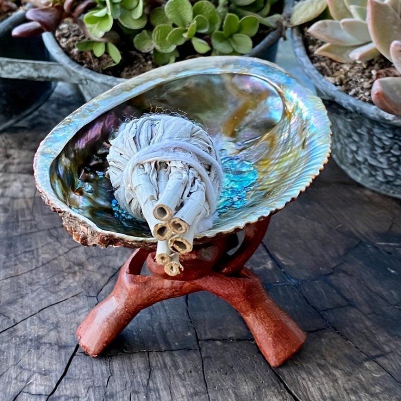 Natural Abalone Shell with Wooden Stand for Smudging and Cleansing