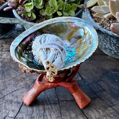 Natural Abalone Shell with Wooden Stand for Smudging and Cleansing