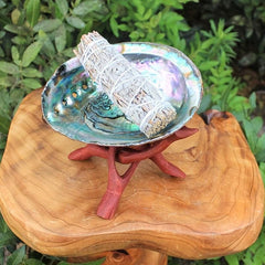 Natural Abalone Shell with Wooden Stand for Smudging and Cleansing