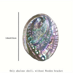Natural Abalone Shell with Wooden Stand for Smudging and Cleansing
