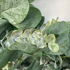 45 Artificial Eucalyptus Wreath for Front Door - Green Leaves - Porch Decor