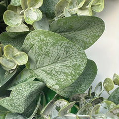 45 Artificial Eucalyptus Wreath for Front Door - Green Leaves - Porch Decor