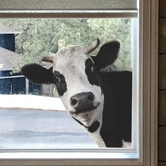 Realistic Cow Stickers Creative Window Wall Decals