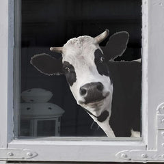 Realistic Cow Stickers Creative Window Wall Decals