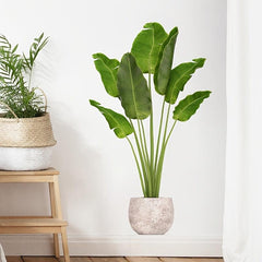 Greenery Plant Wall Sticker Self Adhesive Leaf Peel & Stick Wall Decor