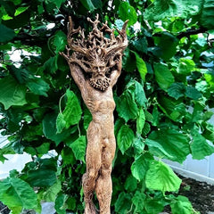 Forest Goddess Tree God Statue Resin Handicrafts Home Garden Decor