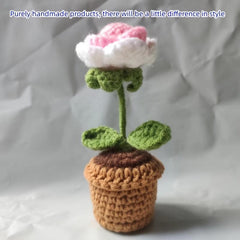 Crochet Potted Flower Arrangement DIY Mini Rose and Tulip Decor