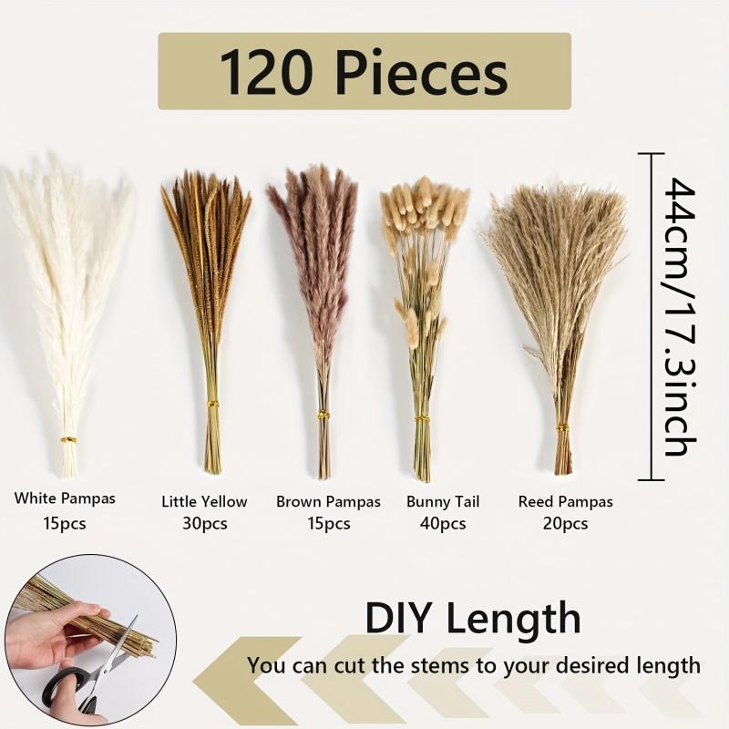 120pcs Dried Reed Decorations Bohemian Wedding Party Decoration