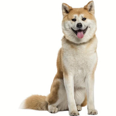 Creative Dog Door Sticker Shiba Inu Pattern Wall Sticker