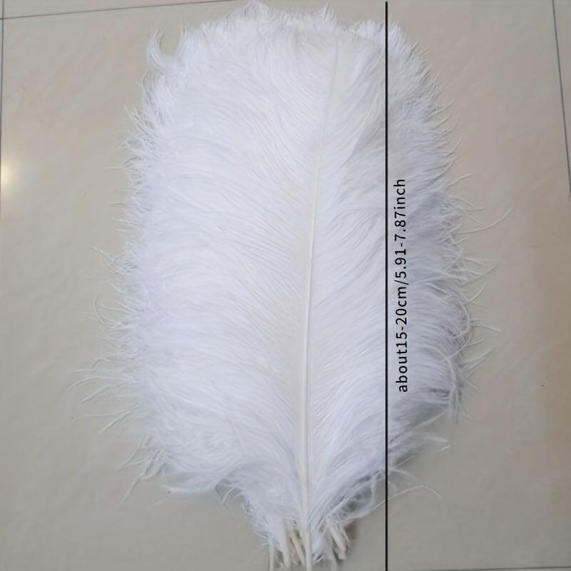Colorful Ostrich Feather Crafts for Masks Hats Dream Catchers Wedding Party