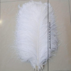 Colorful Ostrich Feather Crafts for Masks Hats Dream Catchers Wedding Party