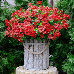 2pcs Artificial Boxwood Flower for Outdoor Garden and Home Decor