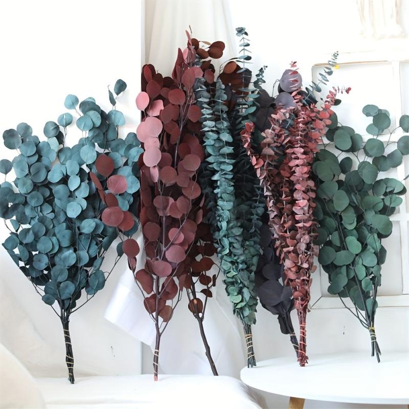 10pcs Dried Eucalyptus Leaves Flower Real Plant DIY Bouquet