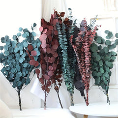 10pcs Dried Eucalyptus Leaves Flower Real Plant DIY Bouquet