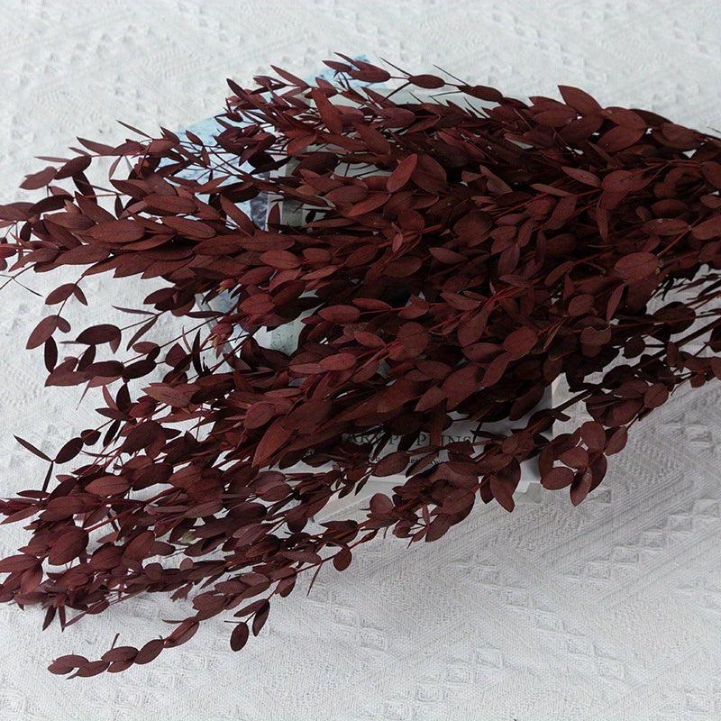10pcs Dried Eucalyptus Leaves Flower Real Plant DIY Bouquet