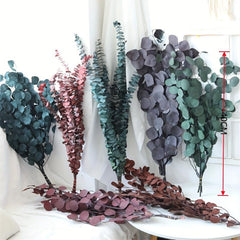 10pcs Dried Eucalyptus Leaves Flower Real Plant DIY Bouquet