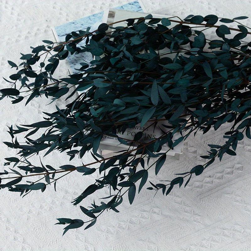 10pcs Dried Eucalyptus Leaves Flower Real Plant DIY Bouquet