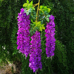 12 Packs Artificial Hanging Plants for Home Wall Decor
