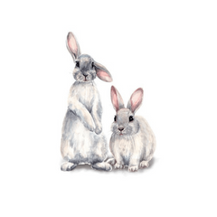 Cute Rabbit Wall Sticker Home Decor Bedroom Living Room Mural Bunny Stickers