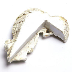 Angel of Redemption Door Frame Decoration with Wings Ornament