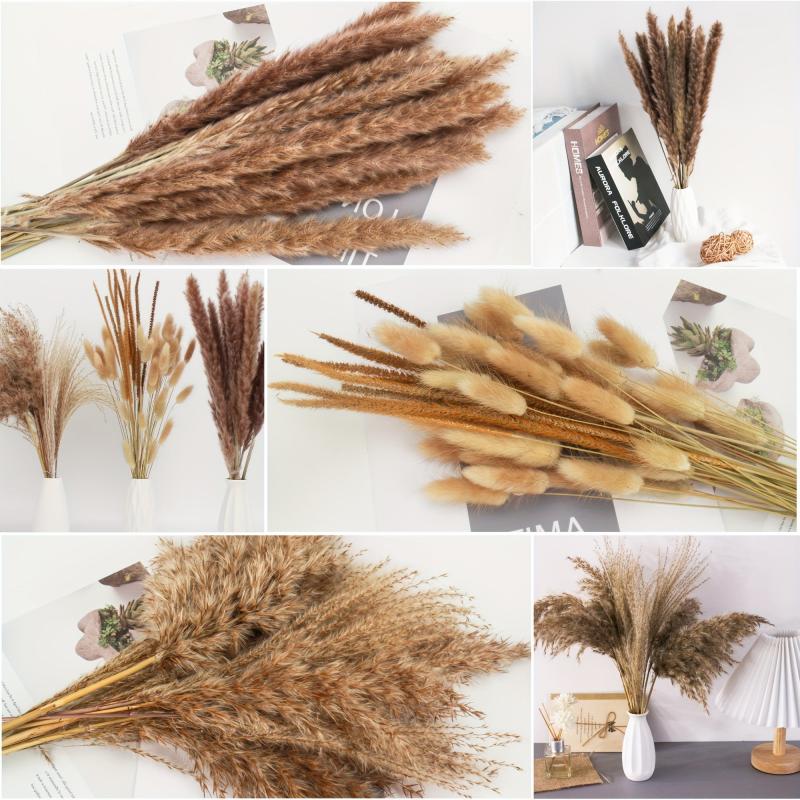 65pcs Natural Pampas Grass Bouquet Dried Floral Arrangement Wedding Decor