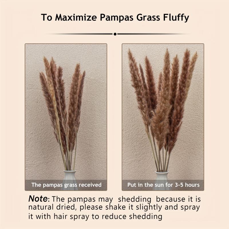 65pcs Natural Pampas Grass Bouquet Dried Floral Arrangement Wedding Decor
