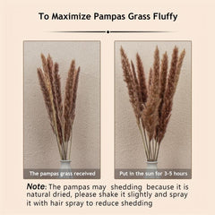 65pcs Natural Pampas Grass Bouquet Dried Floral Arrangement Wedding Decor