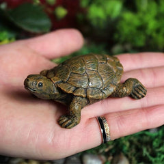Mini Tortoise Garden Statue Flower Pot Ornament Home Decor