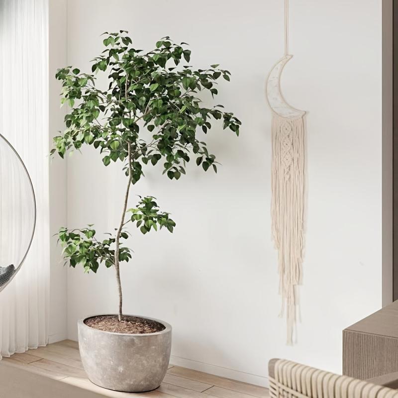 Woven Cotton Dream Catchers Wall Hanging Decor Beige Moon