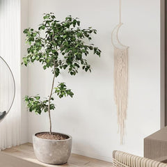 Woven Cotton Dream Catchers Wall Hanging Decor Beige Moon