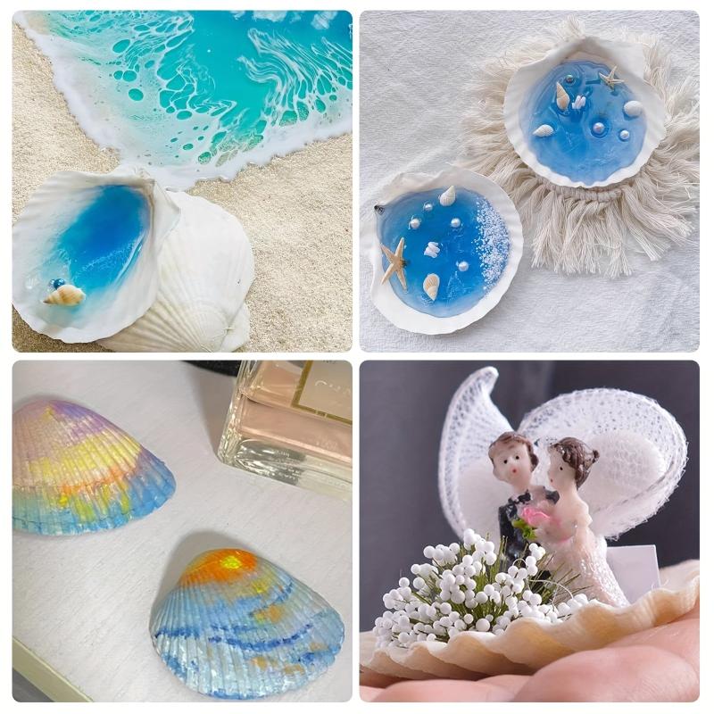 Natural Scallop Shells DIY Crafts Home Decor Vase Filler Sea Shells