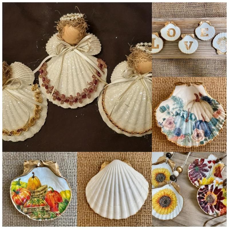 Natural Scallop Shells DIY Crafts Home Decor Vase Filler Sea Shells