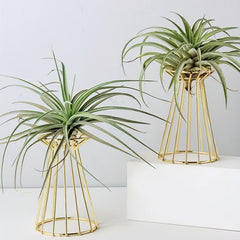 Iron Golden Vase Air Plant Holder Enneagon Tower Geometric Plant Stand