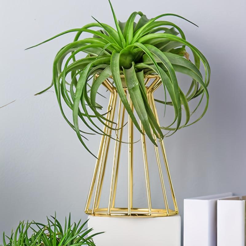 Iron Golden Vase Air Plant Holder Enneagon Tower Geometric Plant Stand