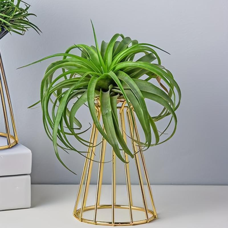 Iron Golden Vase Air Plant Holder Enneagon Tower Geometric Plant Stand