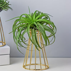 Iron Golden Vase Air Plant Holder Enneagon Tower Geometric Plant Stand