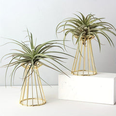 Iron Golden Vase Air Plant Holder Enneagon Tower Geometric Plant Stand