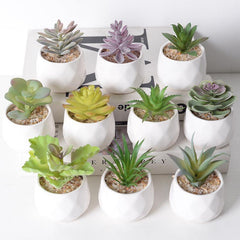 4pcs Realistic Succulent Plant Set - Ideal for Home and Office Decor