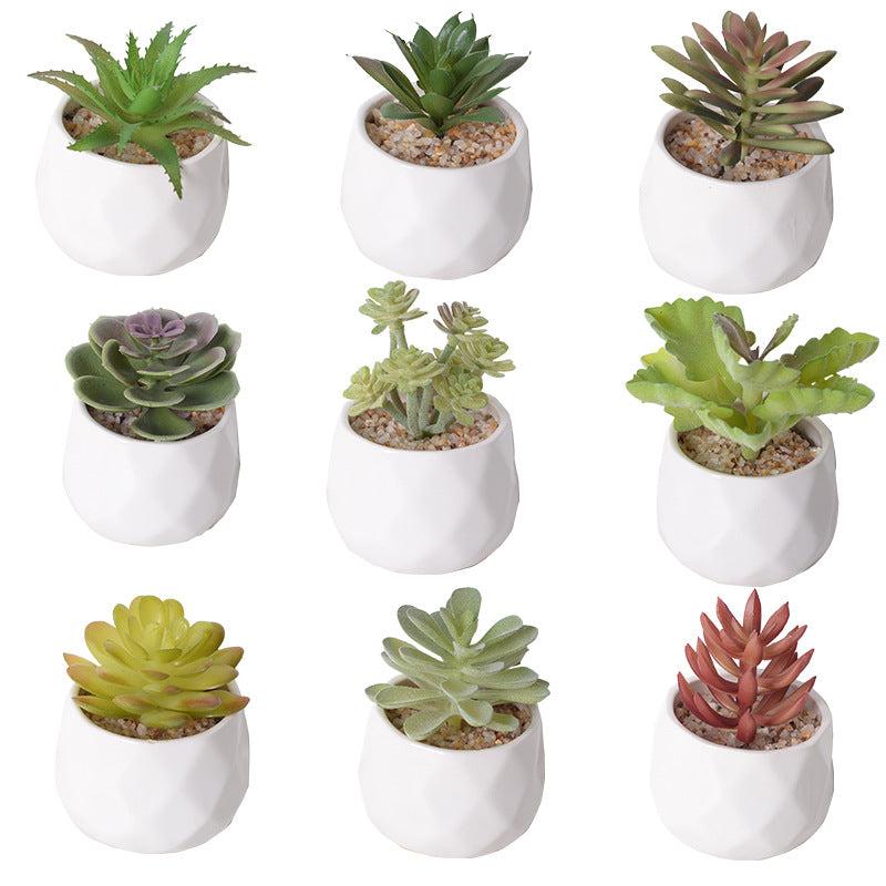 4pcs Realistic Succulent Plant Set - Ideal for Home and Office Decor