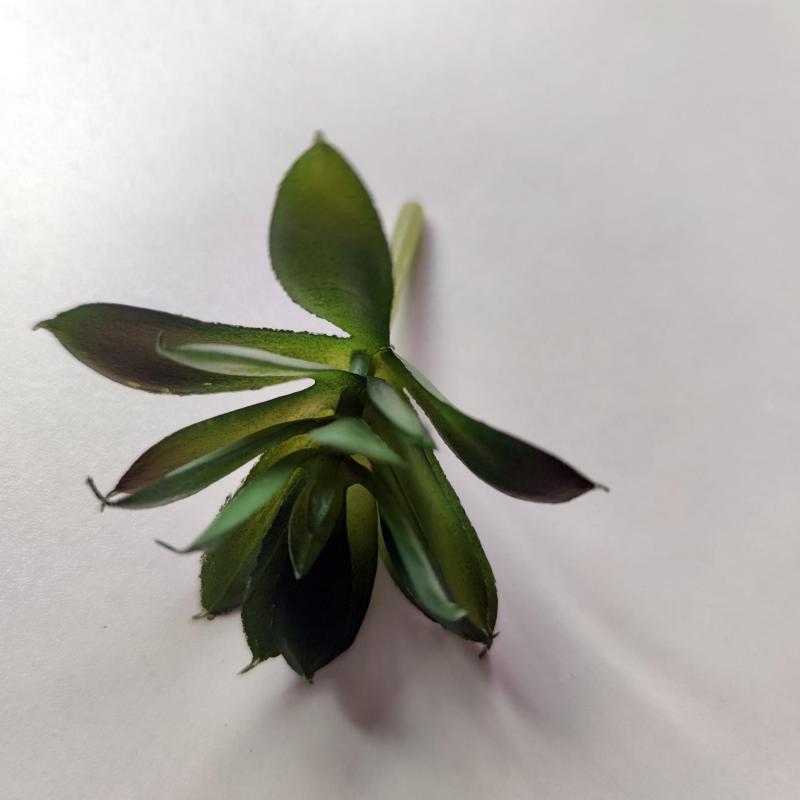 Small Potted Succulents Home Table Decor Artificial Plants
