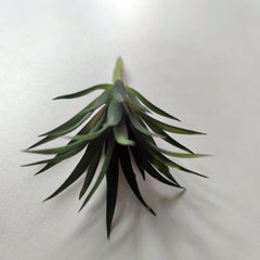 Small Potted Succulents Home Table Decor Artificial Plants