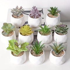 Small Potted Succulents Home Table Decor Artificial Plants