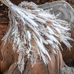 92pcs Dried Pampas Grass Bouquet Home Table Decor Living Room Decor
