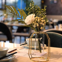 Golden Glass Vase With Metal Frame Hydroponics Vase