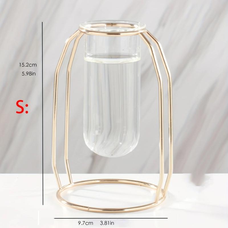 Golden Glass Vase With Metal Frame Hydroponics Vase