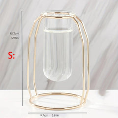 Golden Glass Vase With Metal Frame Hydroponics Vase