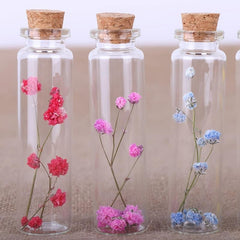 40pcs Mini Glass Bottles with Cork Stoppers for DIY Wedding Decor